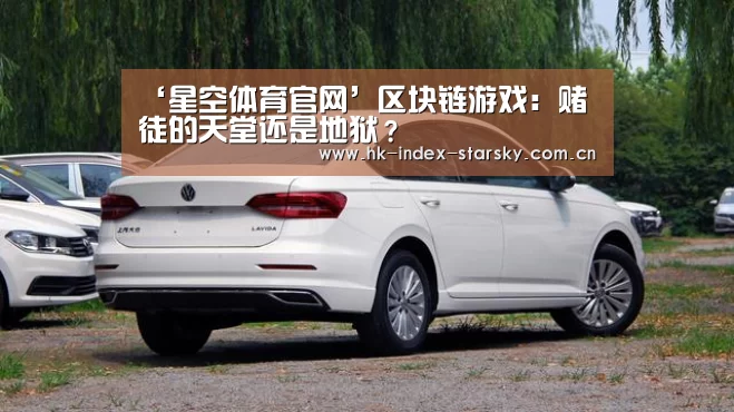 ‘星空体育官网’区块链游戏:赌徒的天堂还是地狱?(图1) 星空体育入口