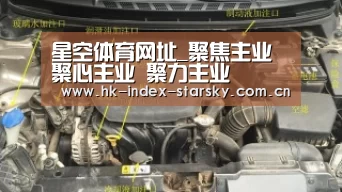 星空体育网址_聚焦主业 聚心主业 聚力主业(图3) 星空体育入口