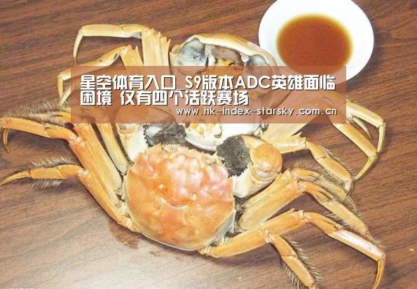 星空体育入口