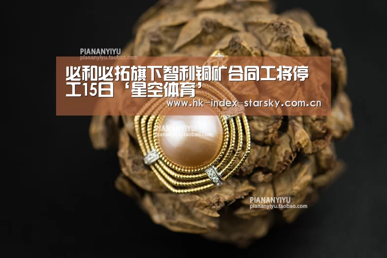 必和必拓旗下智利铜矿合同工将停工15日‘星空体育’(图2) 星空体育