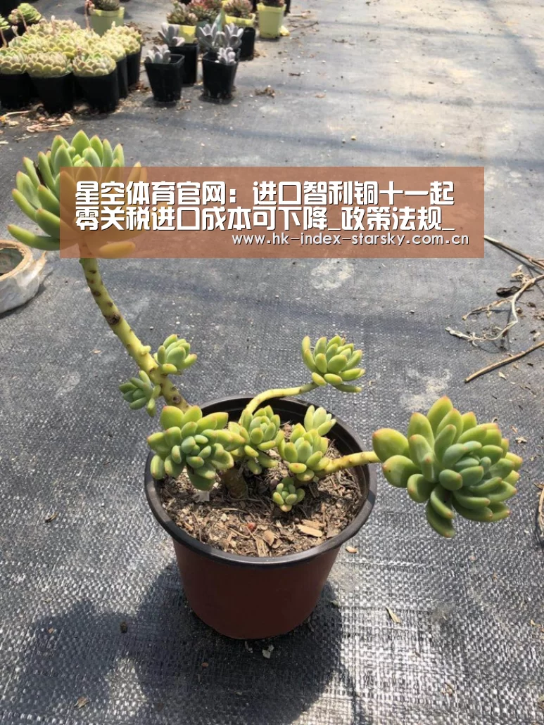 星空体育官网:进口智利铜十一起零关税进口成本可下降_政策法规_新闻_矿道网(图3) 星空体育