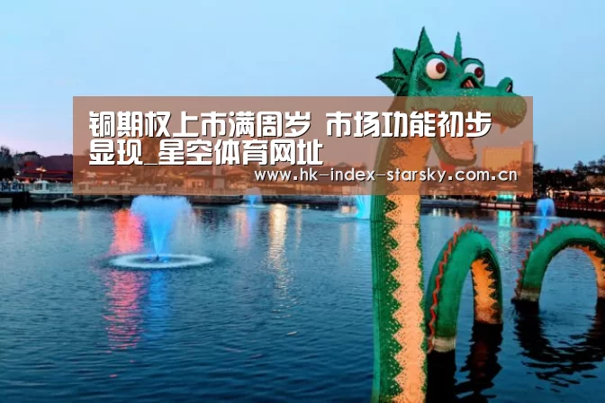 铜期权上市满周岁 市场功能初步显现_星空体育网址(图1) 星空体育