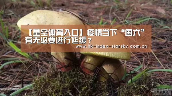 【星空体育入口】疫情当下“国六”有无必要进行延缓?(图1) 星空体育官网